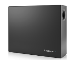Audio Pro Business SUB-1